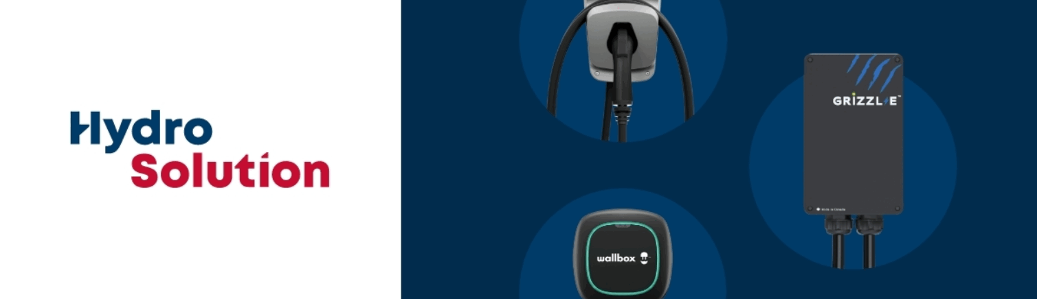 bornes électriques hiver Québec